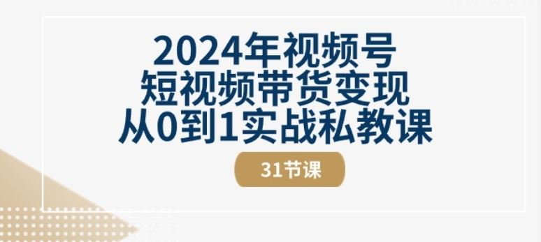 2024年视频号短视频带货变现从0到1实战私教课(31节视频课)插图