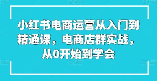 小红书电商运营从入门到精通课，电商店群实战，从0开始到学会插图