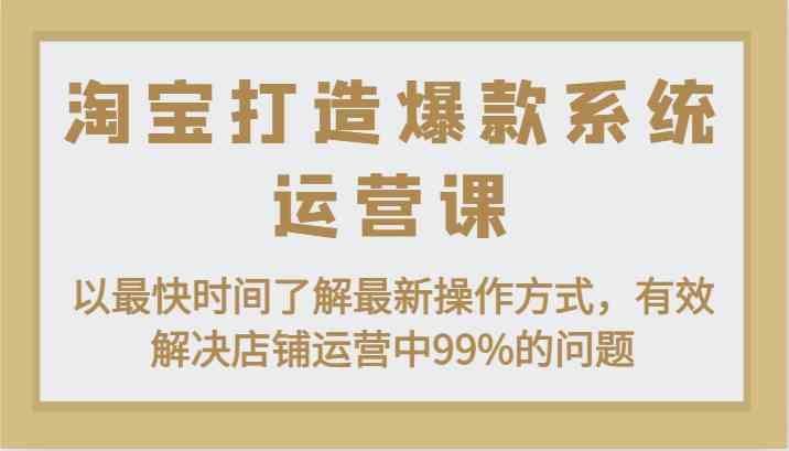 淘宝打造爆款系统运营课：以zui快时间了解zui新操作方式，有效解决店铺运营中99%的问题插图