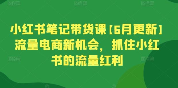 小红书笔记带货课【6月更新】流量电商新机会，抓住小红书的流量红利插图