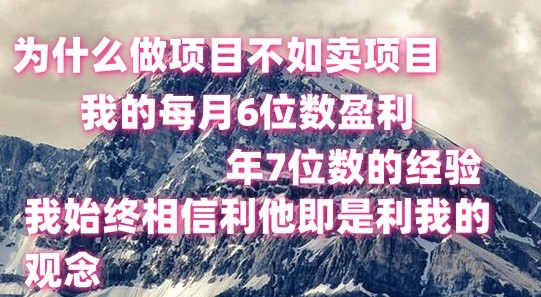 做项目不如卖项目，每月6位数盈利，年7位数经验插图