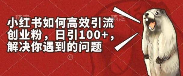 小红书如何高效引流创业粉，日引100+，解决你遇到的问题【揭秘】插图