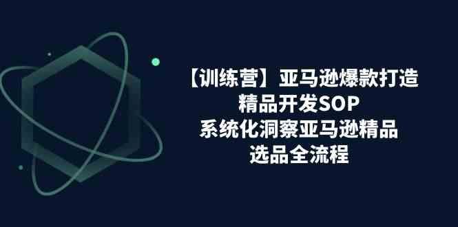 亚马逊爆款打造之精品开发SOP【训练营】，系统化洞察亚马逊精品选品全流程插图