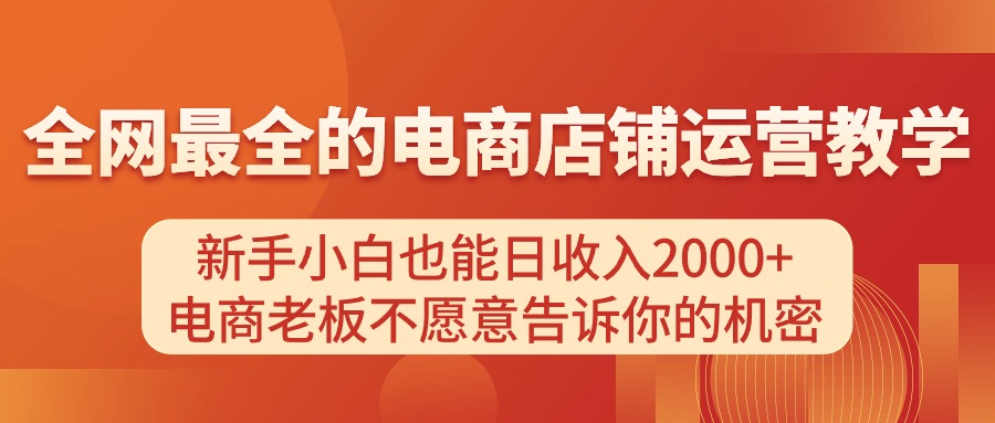 （11266期）电商店铺运营教学，新手小白也能日收入2000+，电商老板不愿意告诉你的机密插图