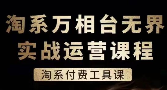 淘系万相台无界实战运营课，淘系付费工具课插图