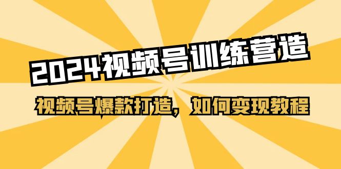 （11135期）2024视频号训练营，视频号爆款打造，如何变现教程（20节课）插图