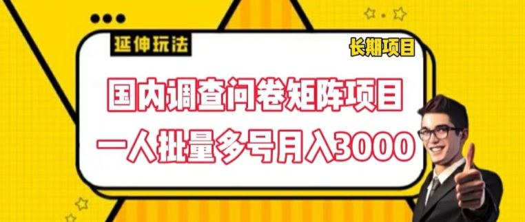 国内调查问卷矩阵项目，一人批量多号月入3000【揭秘】插图