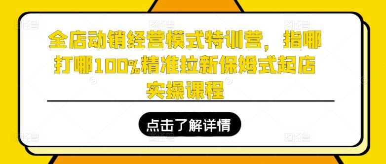 全店动销经营模式特训营，指哪打哪100%精准拉新保姆式起店实操课程插图