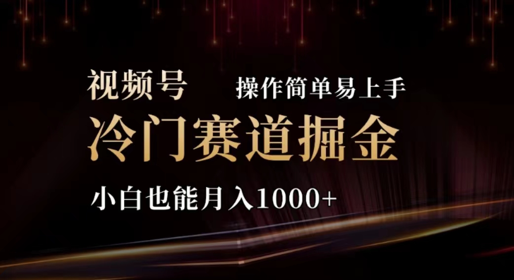 （11378期）2024视频号冷门赛道掘金，操作简单轻松上手，小白也能月入1000+插图