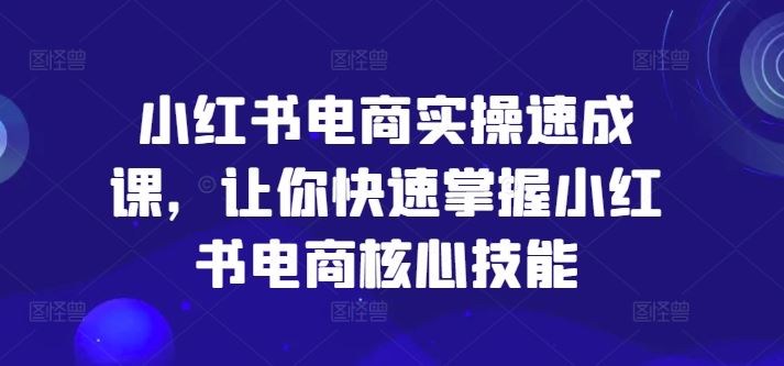 小红书电商实操速成课，让你快速掌握小红书电商核心技能插图