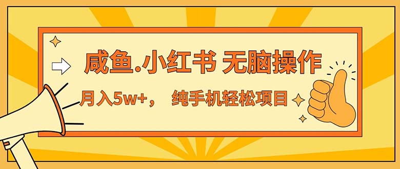 （11524期）2024zui赚钱的项目，咸鱼，小红书无脑操作，每单利润500+，轻松月入5万+…插图