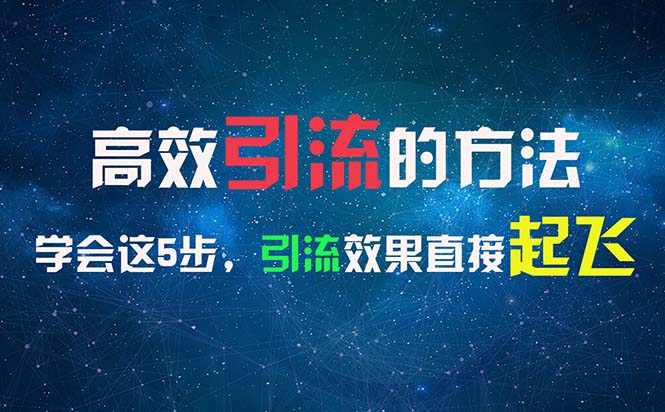 （11776期）高效引流的方法，可以帮助你日引300+创业粉，一年轻松收入30万，比打工强插图