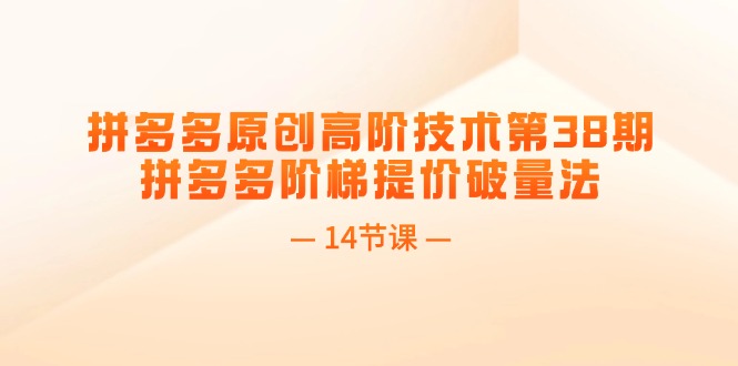 （11704期）拼多多原创高阶技术第38期，拼多多阶梯提价破量法（14节课）插图