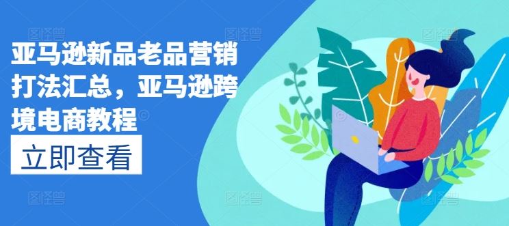 亚马逊新品老品营销打法汇总，亚马逊跨境电商教程插图