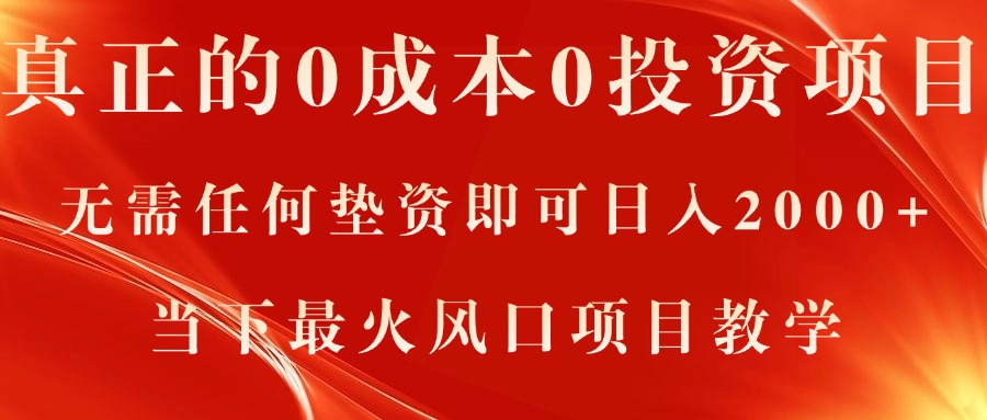 （11387期）真正的0成本0投资项目，无需任何垫资即可日入2000+，当下zui火风口项目教学插图