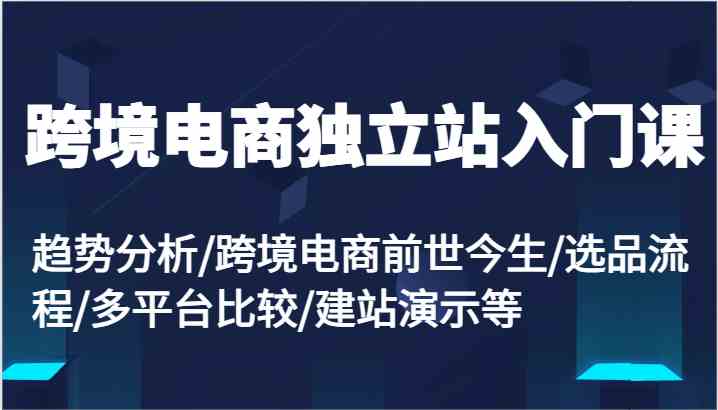 跨境电商独立站入门课：趋势分析/跨境电商前世今生/选品流程/多平台比较/建站演示等插图