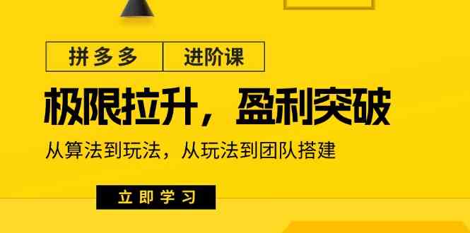 拼多多进阶课：极限拉升/盈利突破：从算法到玩法 从玩法到团队搭建（18节）插图