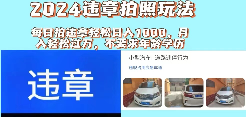 （11743期）2024违章拍照新玩法，推广躺赚+拍照赚钱双模式，日入1000+插图