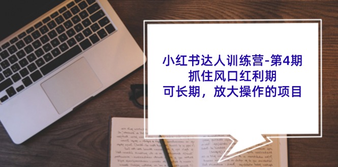 （11837期）小红书达人训练营-第4期：抓住风口红利期，可长期，放大操作的项目插图