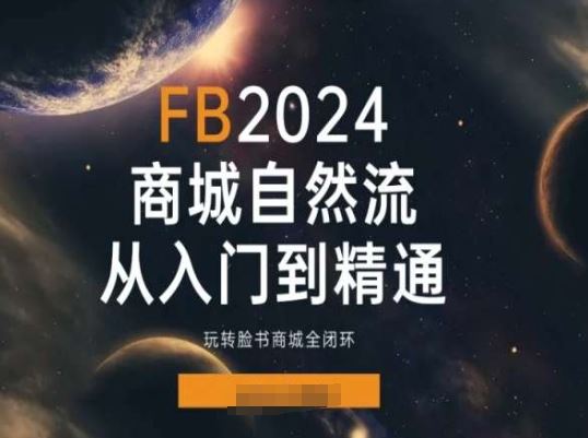 2024Faceboo商城自然流(从入门到精通)，玩转脸书商城全闭环插图