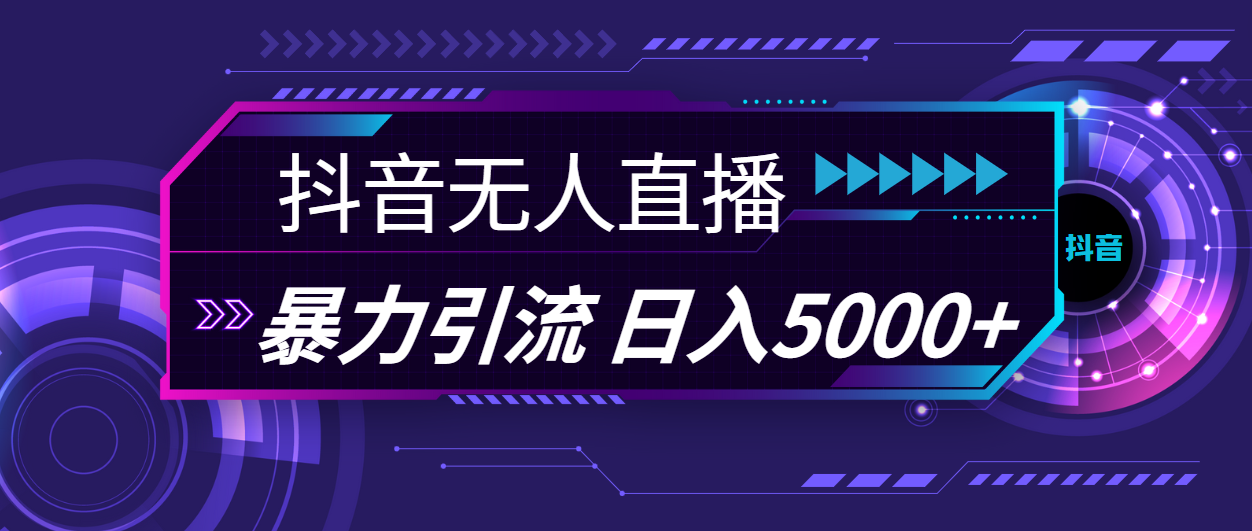 （11709期）抖音无人直播，暴利引流，日入5000+插图