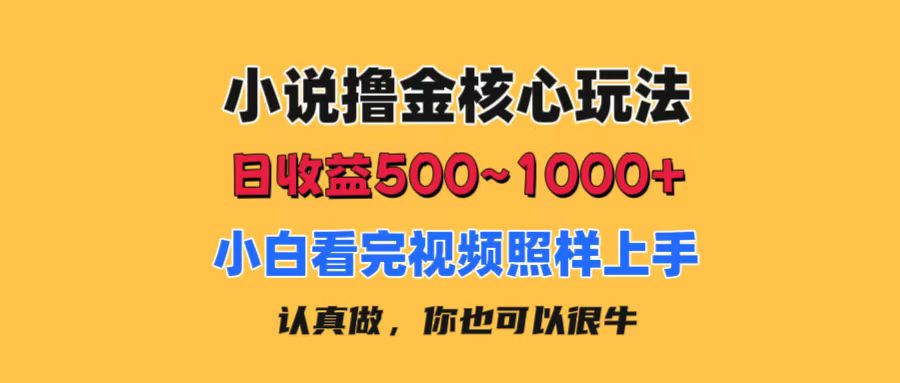 （11461期）小说撸金核心玩法，日收益500-1000+，小白看完照样上手，0成本有手就行插图