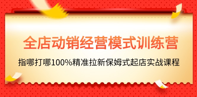 （11460期）全店动销-经营模式训练营，指哪打哪100%精准拉新保姆式起店实战课程插图