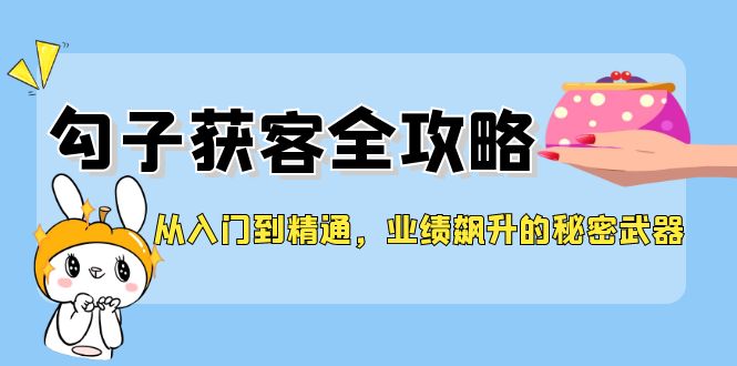 （12247期）从入门到精通，勾子获客全攻略，业绩飙升的秘密武器插图