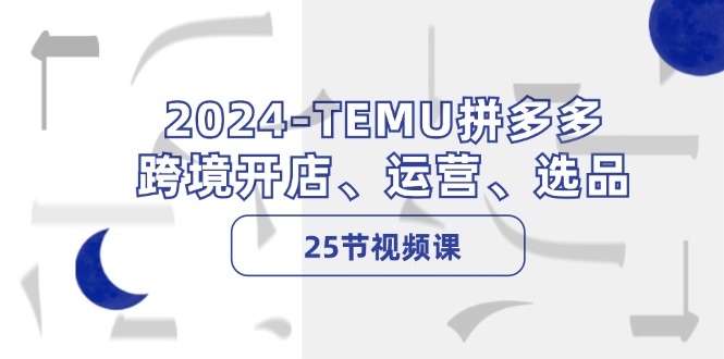 （12106期）2024-TEMU拼多多·跨境开店、运营、选品（25节视频课）插图