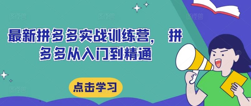 zui新拼多多实战训练营， 拼多多从入门到精通插图