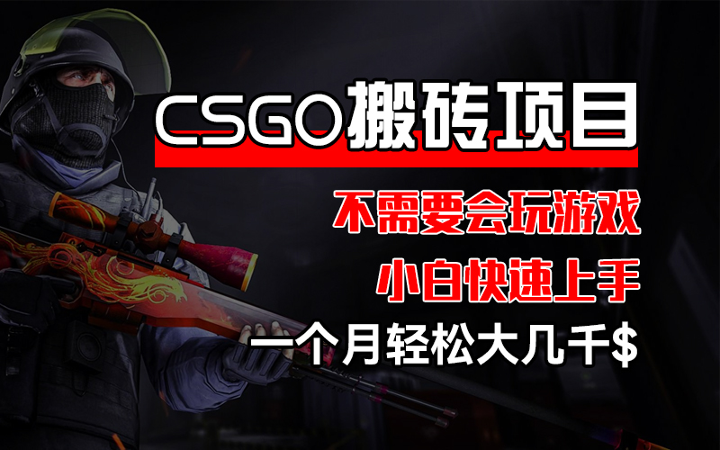 （12332期）CSGO 装备搬砖项目，操作简单，不需要会玩游戏，小白也能快速上手，一…插图