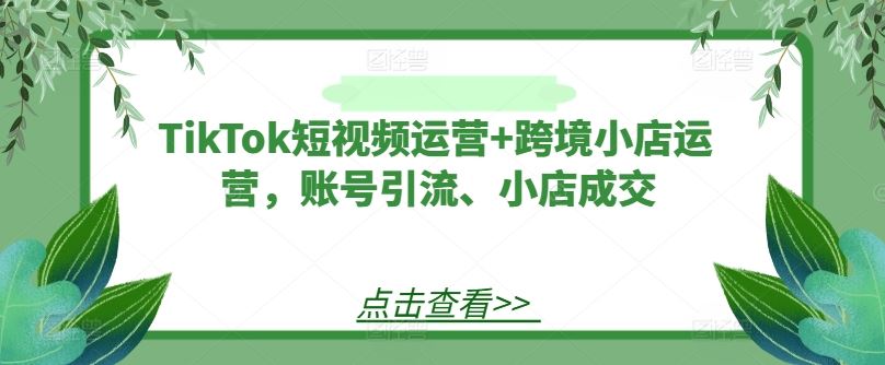 TikTok短视频运营+跨境小店运营，账号引流、小店成交插图