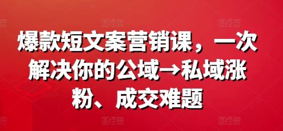 爆款短文案营销课，一次解决你的公域→私域涨粉、成交难题插图