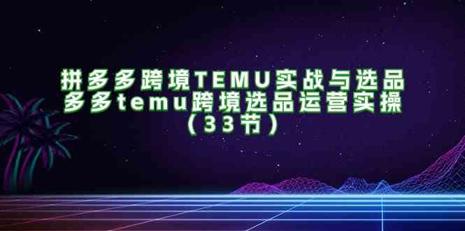 拼多多跨境TEMU实战与选品，多多temu跨境选品运营实操（33节）插图