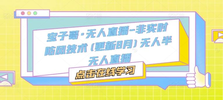 宝子哥·无人直播-非实时防风技术(更新8月)无人半无人直播插图