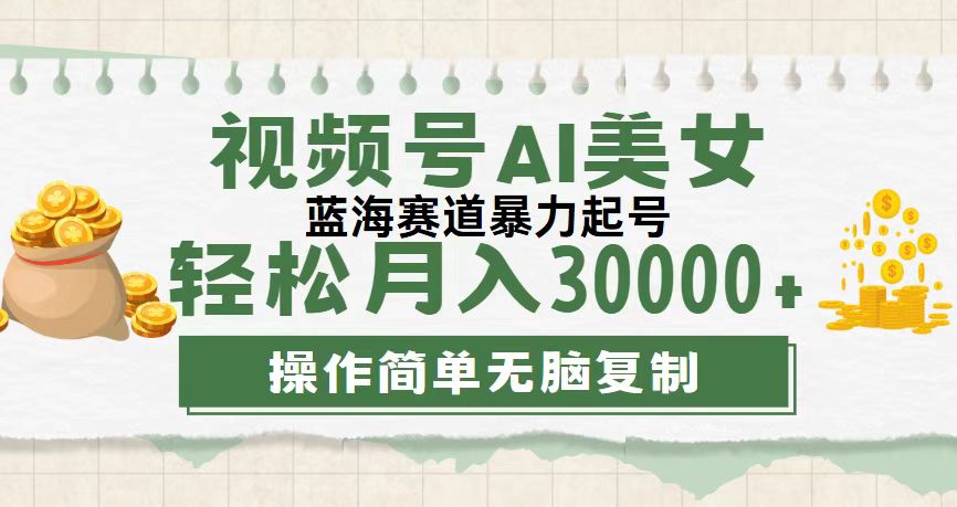 （12087期）视频号AI美女跳舞，轻松月入30000+，蓝海赛道，流量池巨大，起号猛，无…插图