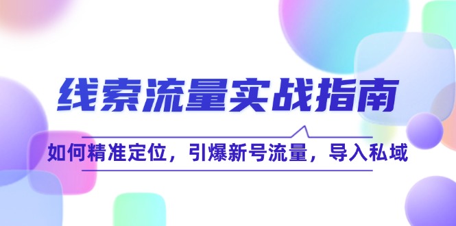 （12382期）线 索 流 量-实战指南：如何精准定位，引爆新号流量，导入私域插图