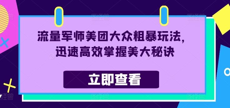 流量军师美团大众粗暴玩法，迅速高效掌握美大秘诀插图