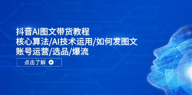 （11958期）抖音AI图文带货教程：核心算法/AI技术运用/如何发图文/账号运营/选品/爆流插图