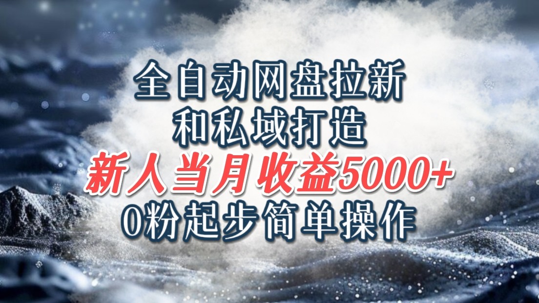 全自动网盘拉新和私域打造，0粉起步简单操作，新人入门当月收益5000以上插图