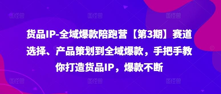 货品IP全域爆款陪跑营【第3期】赛道选择、产品策划到全域爆款，手把手教你打造货品IP，爆款不断插图