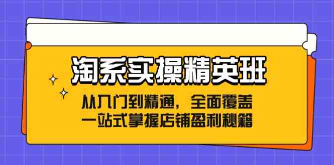 淘系实操精英班：从入门到精通，全面覆盖，一站式掌握店铺盈利秘籍插图