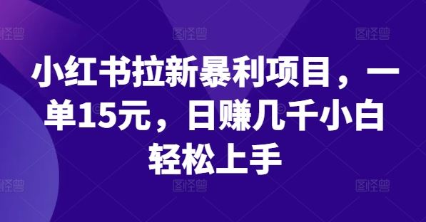 小红书拉新暴利项目，一单15元，日赚几千小白轻松上手【揭秘】插图