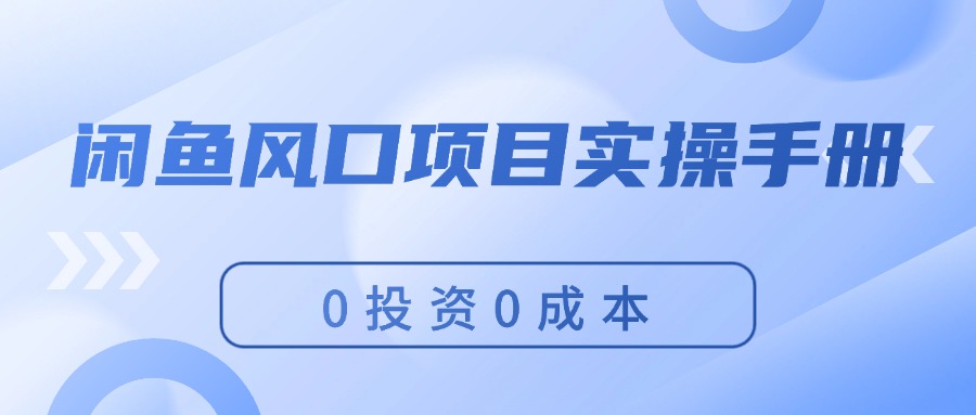 （11923期）闲鱼风口项目实操手册，0投资0成本，让你做到，月入过万，新手可做插图