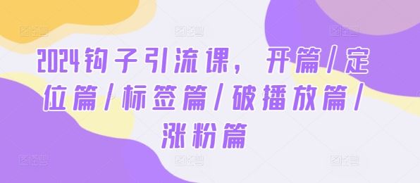 2024钩子引流课，开篇/定位篇/标签篇/破播放篇/涨粉篇插图