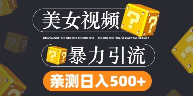 搬运tk美女视频全网分发，日引s粉300+，轻松变现，不限流量不封号【揭秘】插图