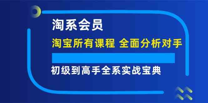 淘系会员初级到高手全系实战宝典【淘宝所有课程，全面分析对手】插图