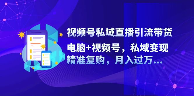 （12249期）视频号私域直播引流带货：电脑+视频号，私域变现，精准复购，月入过万…插图