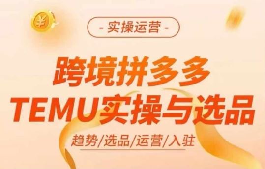 跨境拼多多TEMU实操与选品，多多temu跨境选品运营实操插图