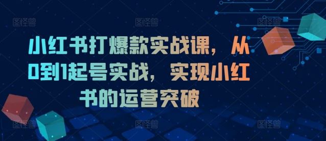 小红书打爆款实战课，从0到1起号实战，实现小红书的运营突破插图